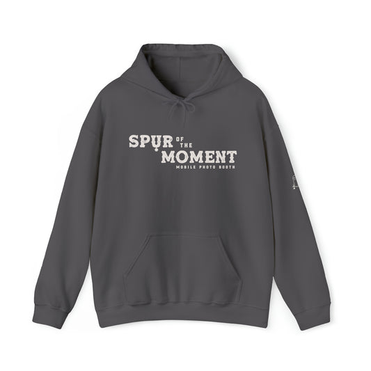 Spur of the Moment Hoodie Grey